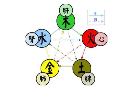 五行属|五行（对万事万物的取象比类）